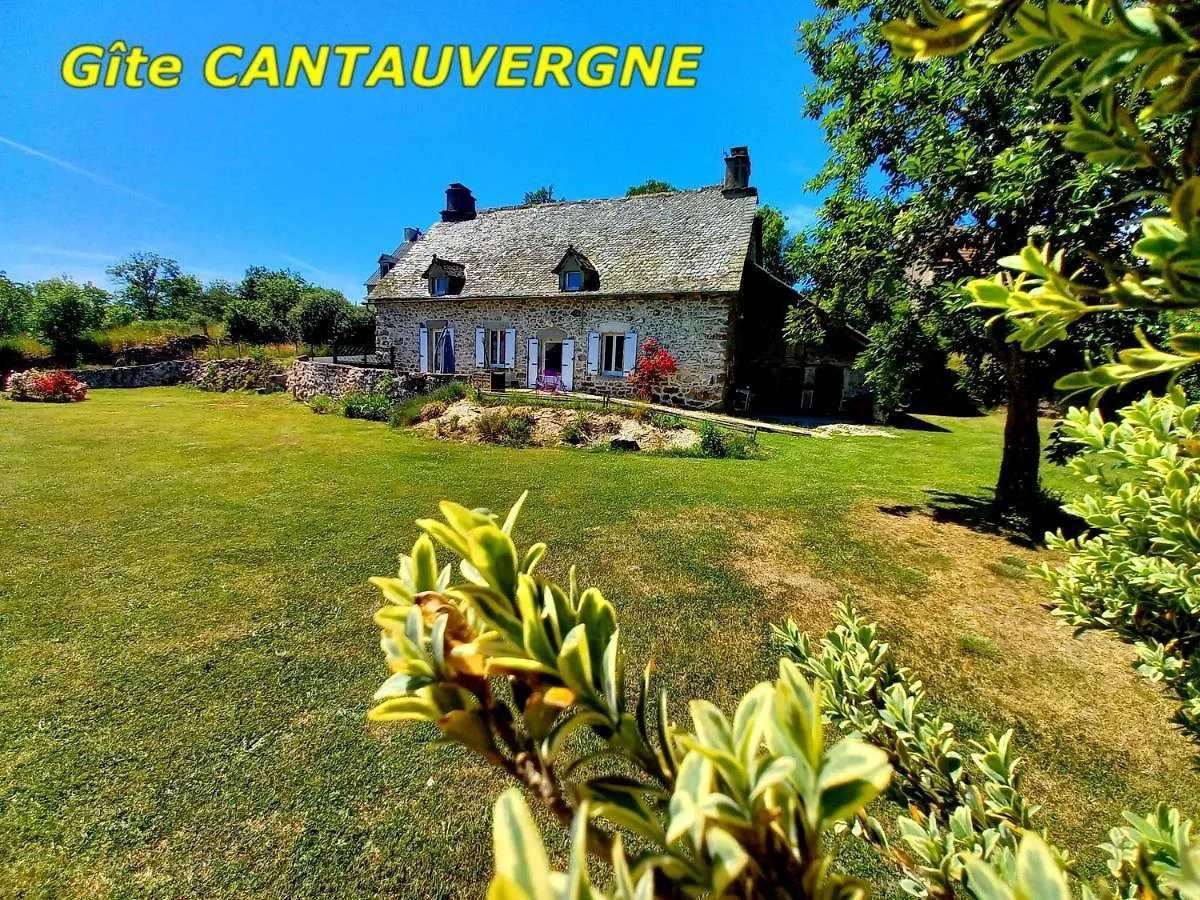 Gite Cantauvergne Villa Vebret