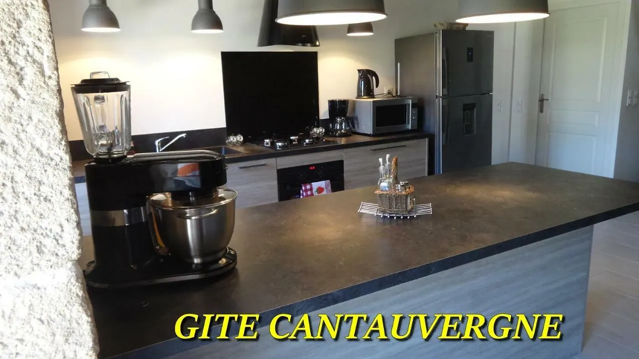 Gite Cantauvergne Villa Vebret