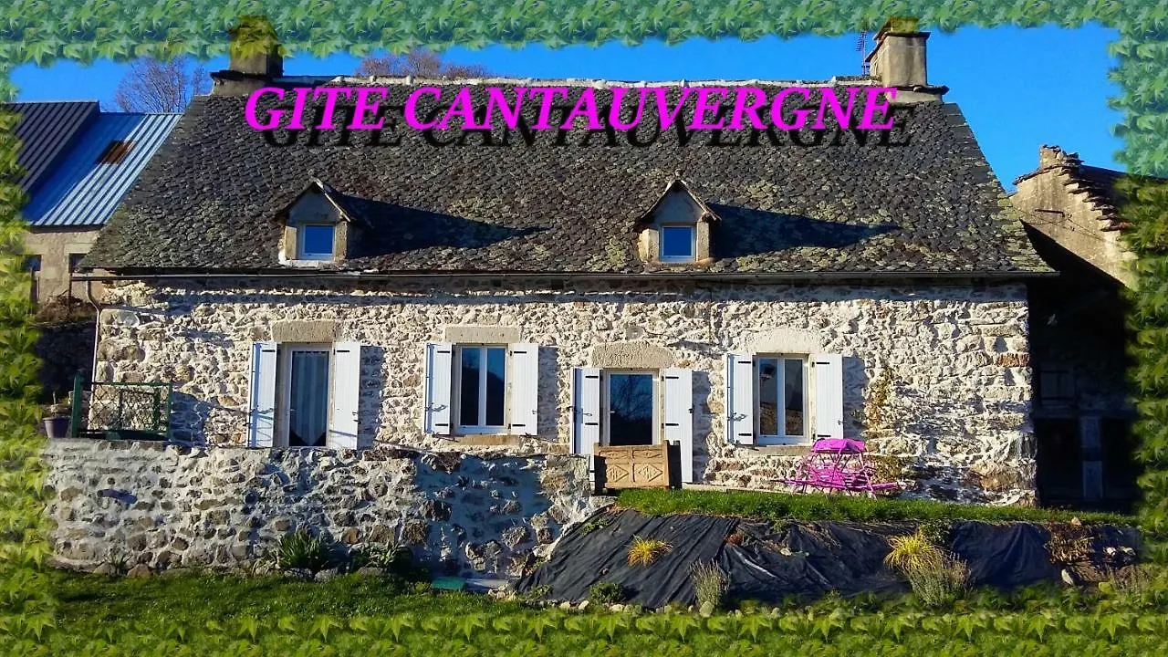 Gite Cantauvergne Villa Vebret