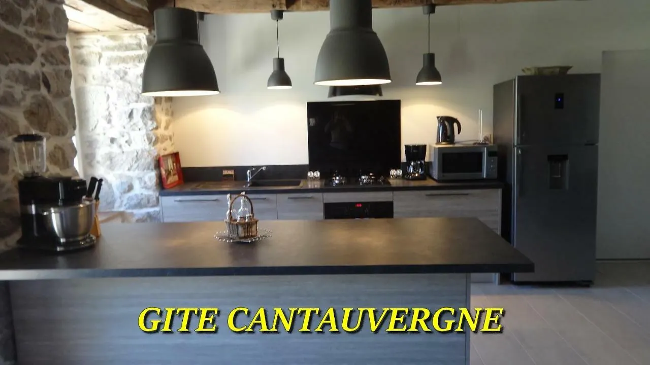 Gite Cantauvergne Villa Vebret Holiday home