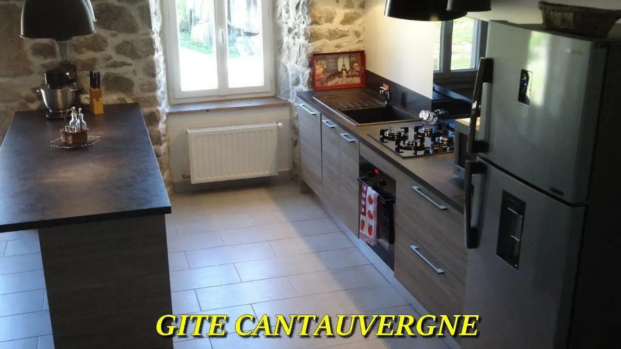 Gite Cantauvergne Villa Vebret