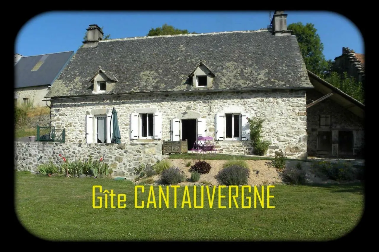 Gite Cantauvergne Villa Vebret France