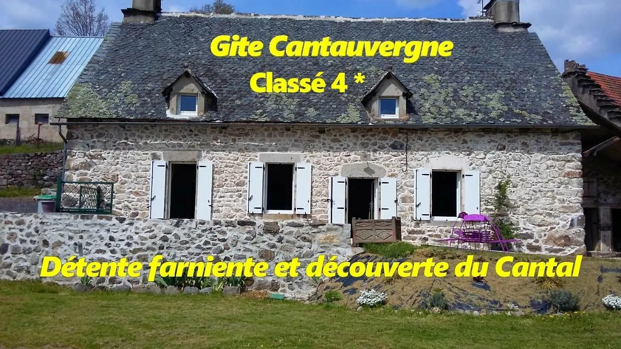 Gite Cantauvergne Villa Vebret France