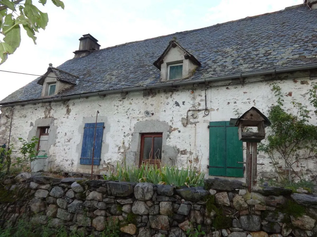Gite Cantauvergne Villa Vebret Holiday home