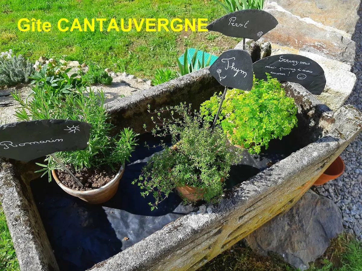 Gite Cantauvergne Villa Vebret 0*,  France