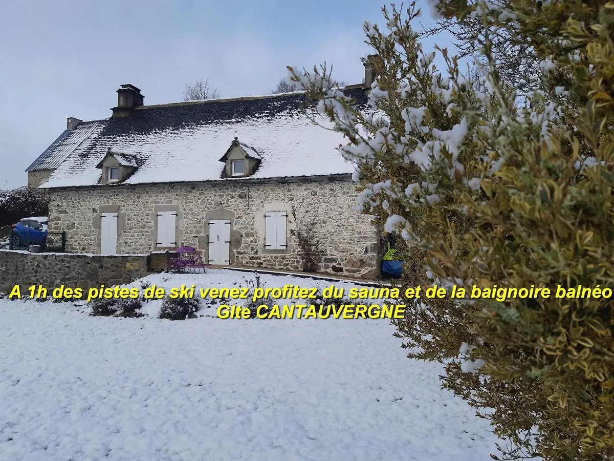 Holiday home Gite Cantauvergne Villa Vebret